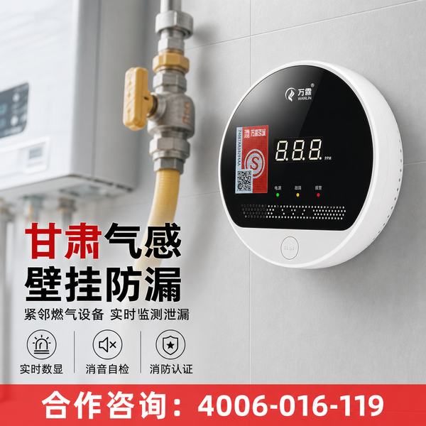 定西万霖智慧消防应用
